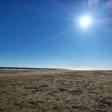 Offi Eucaliptus * L'Eucaliptus