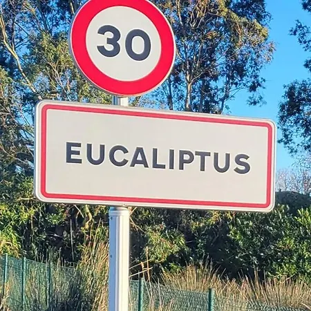 アパート Offi Eucaliptus L'Eucaliptus