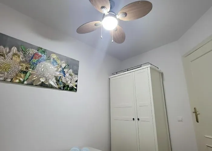 Offi Eucaliptus * L'Eucaliptus