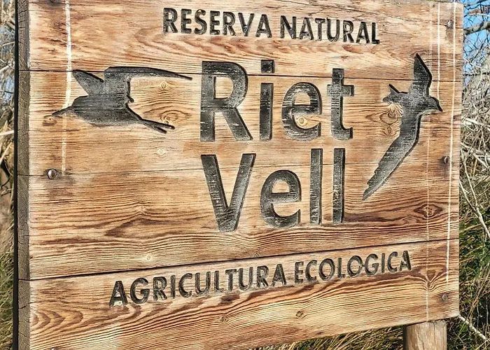 アパート Offi Eucaliptus L'Eucaliptus