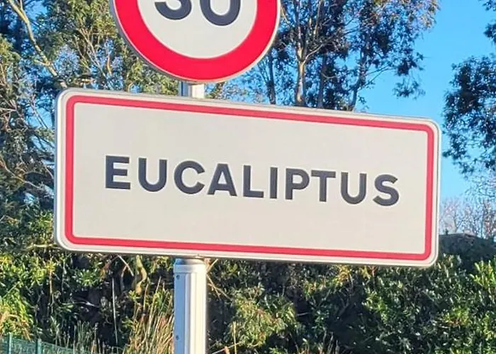 Appartement Offi Eucaliptus L'Eucaliptus