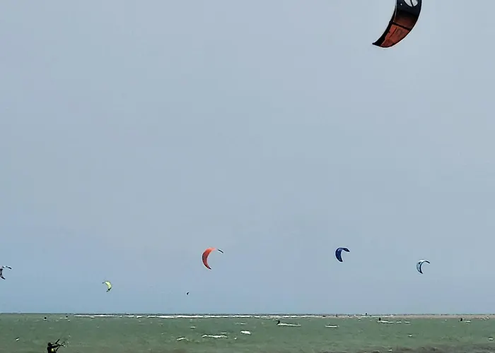 Offi Eucaliptus アパート L'Eucaliptus